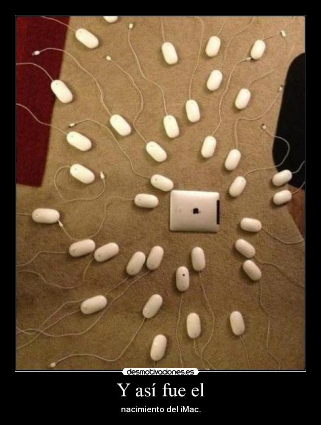 Y así fue el - nacimiento del iMac.