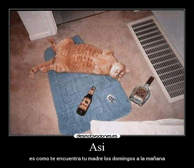 Asi - es como te encuentra tu madre los domingos a la mañana