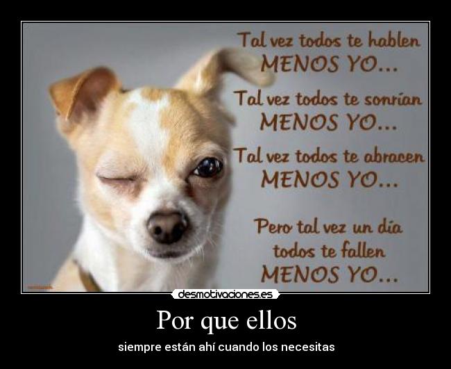 Por que ellos - siempre están ahí cuando los necesitas