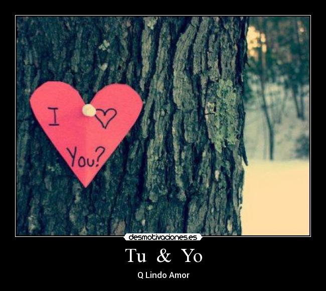 Tu  &  Yo - 