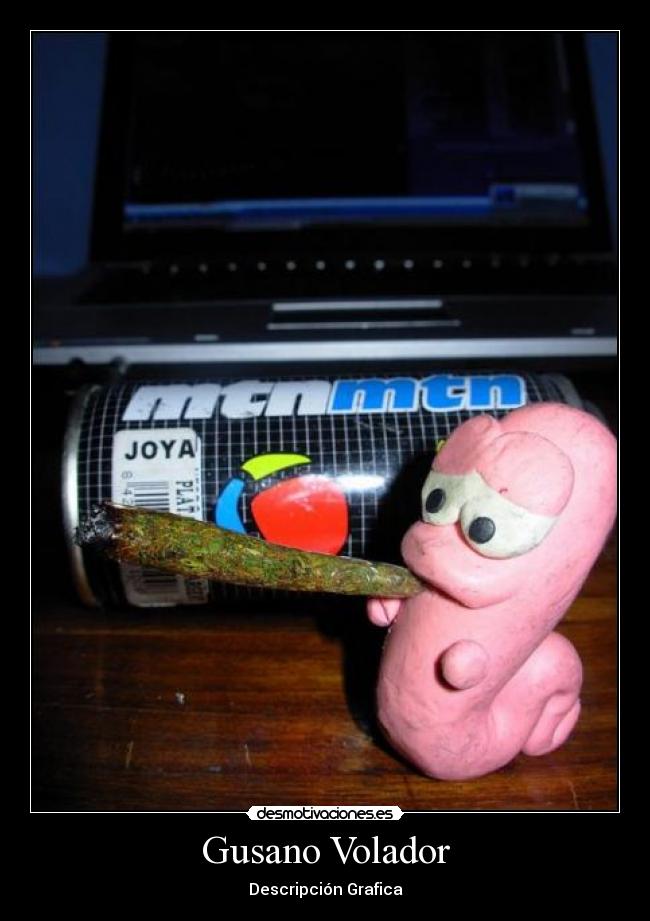 Gusano Volador - Descripción Grafica