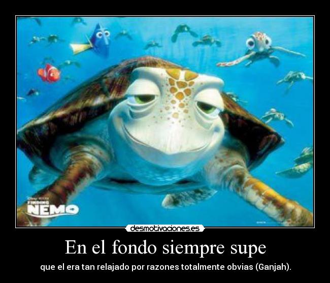 carteles sin etiqueta desmotivaciones