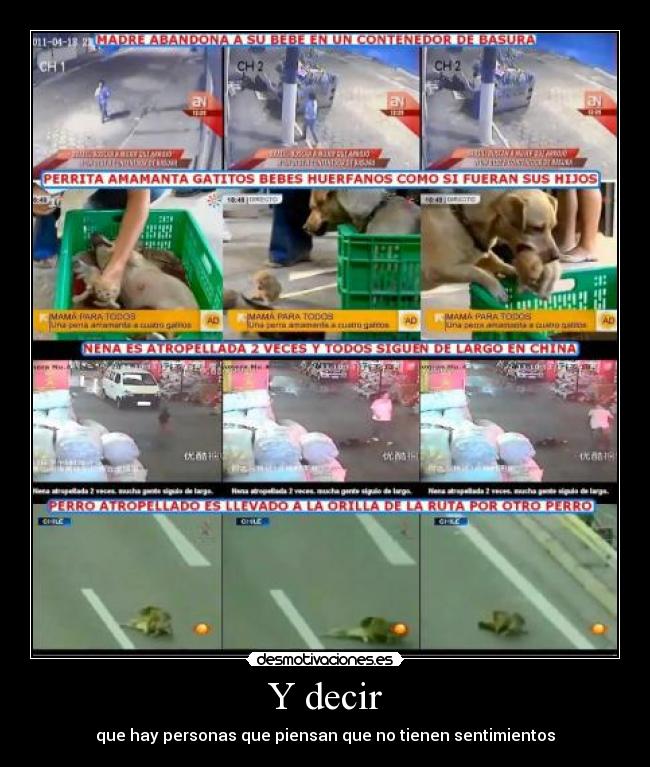 Y decir - que hay personas que piensan que no tienen sentimientos