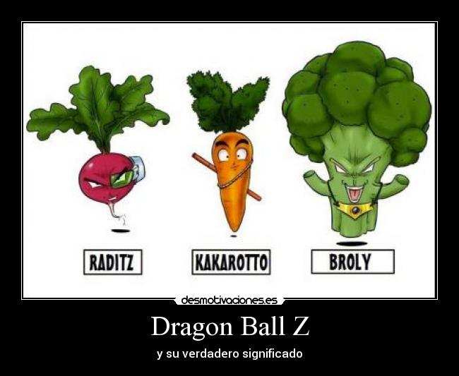 Dragon Ball Z - y su verdadero significado