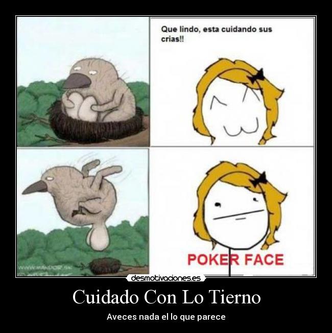 Cuidado Con Lo Tierno - Aveces nada el lo que parece