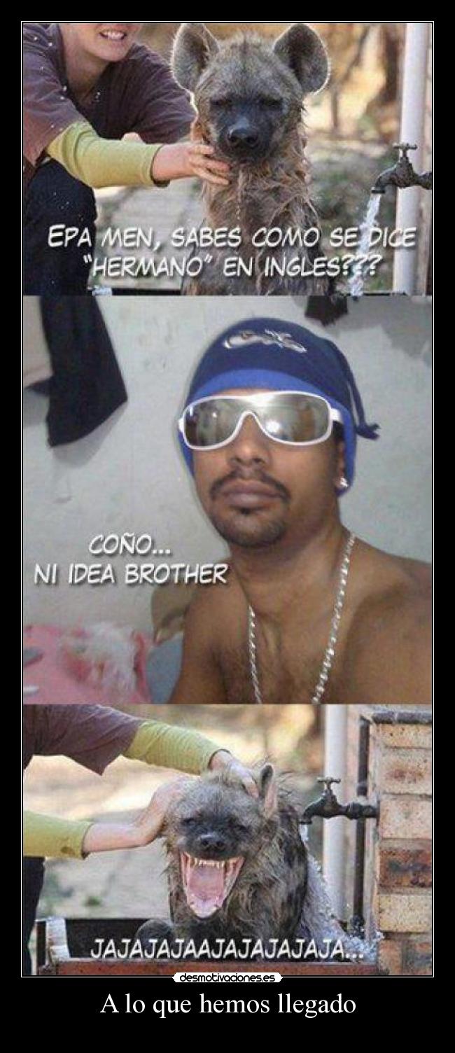 carteles que hemos llegado desmotivaciones