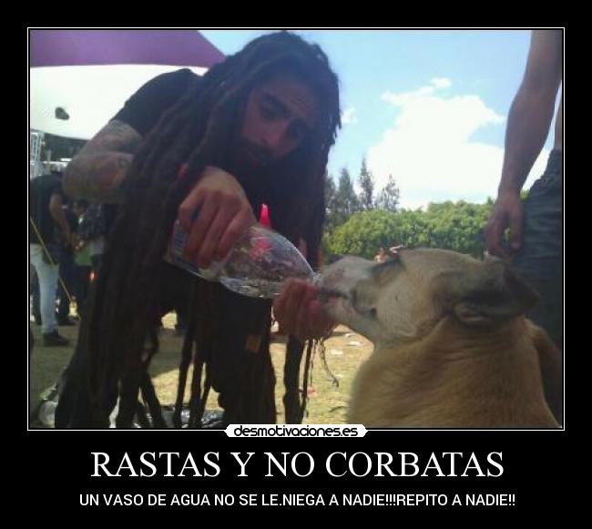 carteles cabeza mas limpia rasta desmotivaciones
