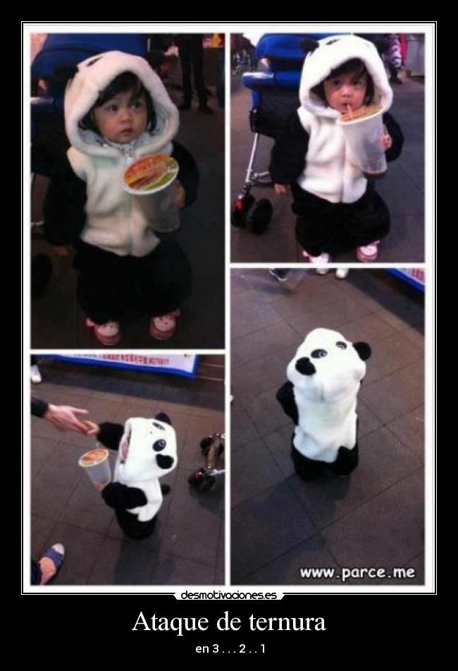 carteles panda kawaii jeje desmotivaciones