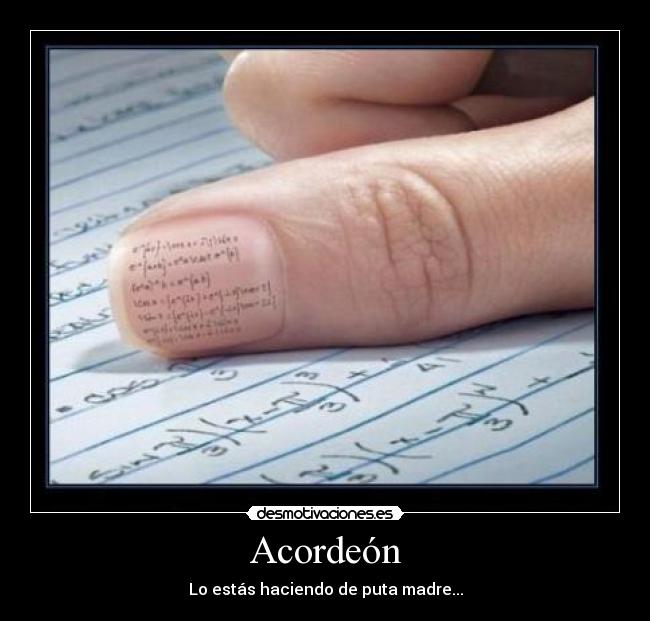 Acordeón - Lo estás haciendo de puta madre...