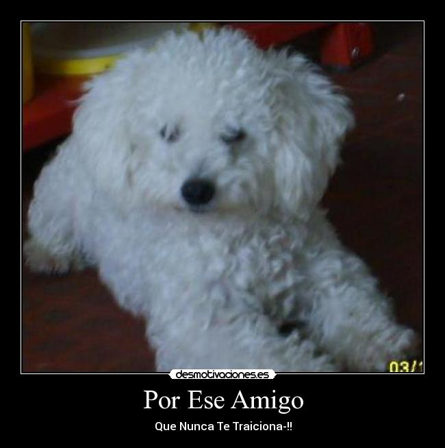 carteles motas desmotivaciones