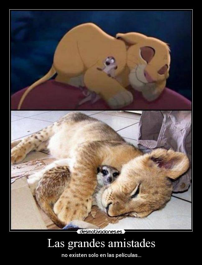 Las grandes amistades - 