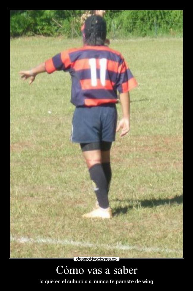 carteles rugby desmotivaciones