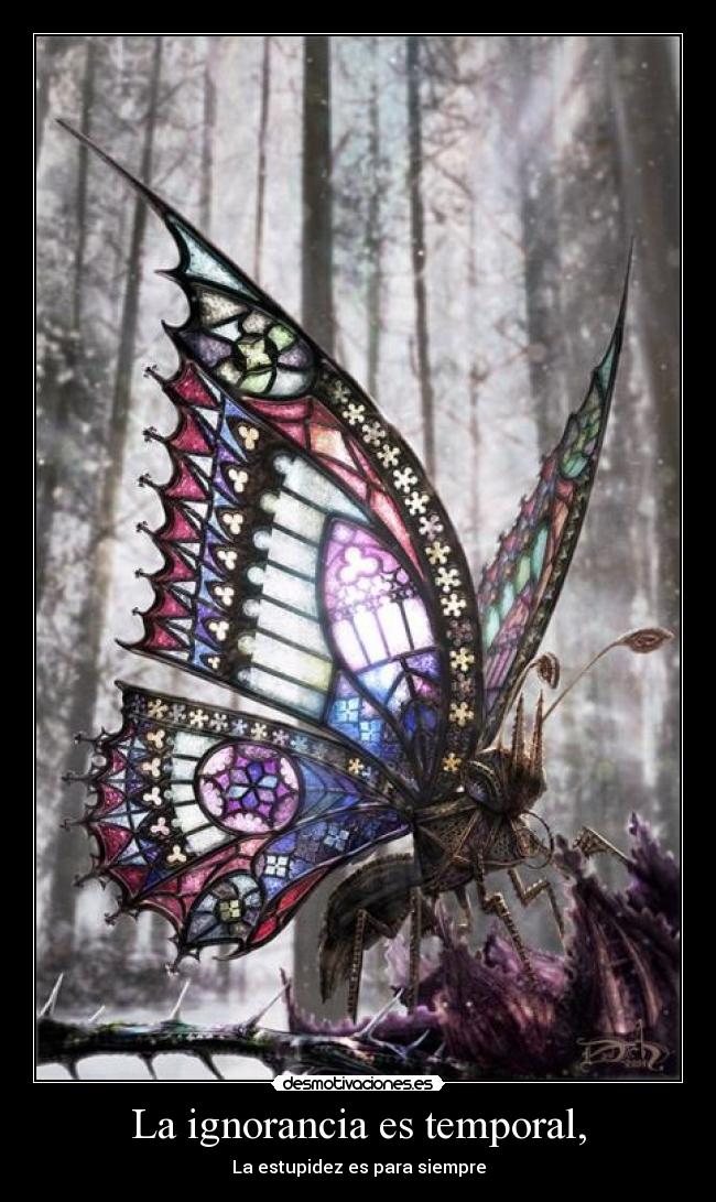 La ignorancia es temporal, - 