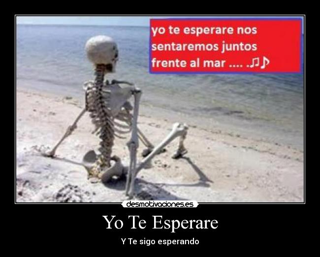 Yo Te Esperare - Y Te sigo esperando