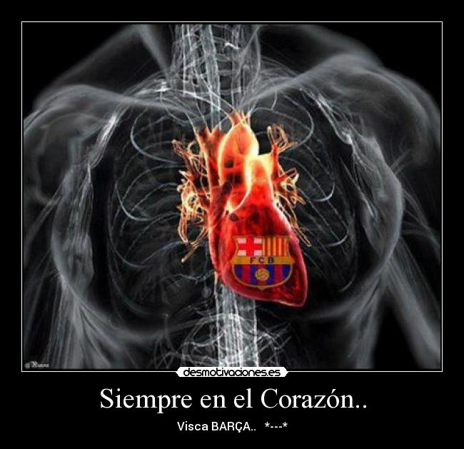 Siempre en el Corazón.. - Visca BARÇA.. ♥ *---*