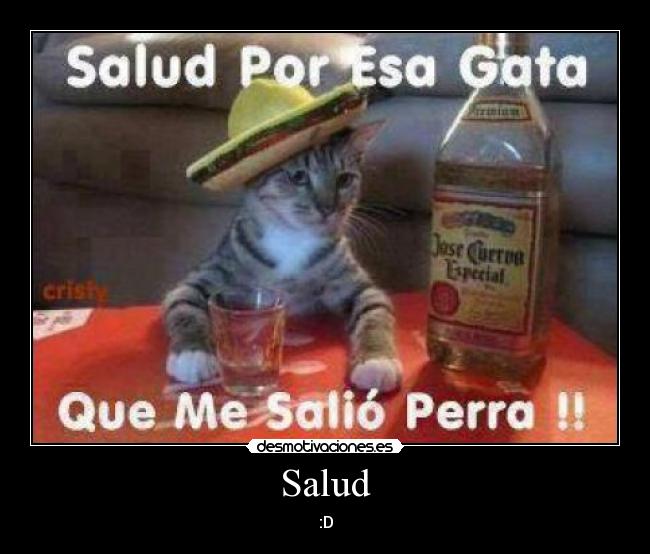 Salud -