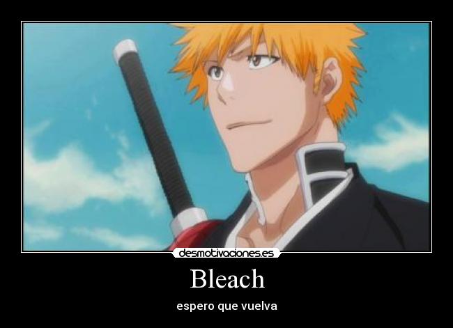 Bleach -