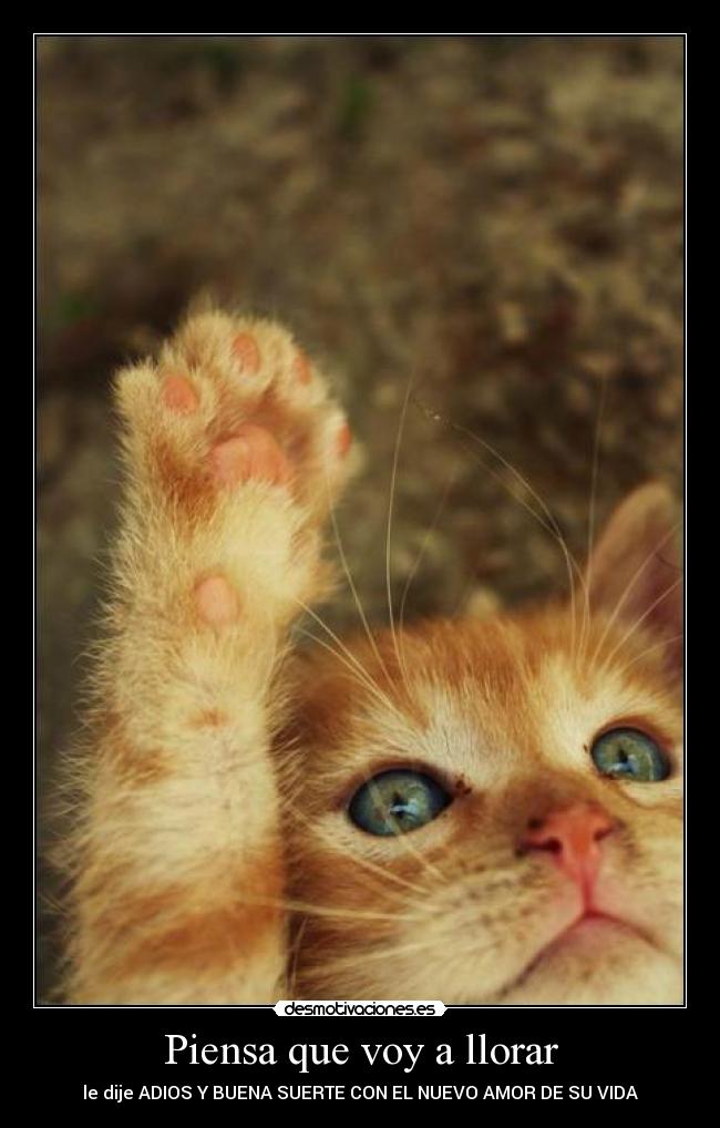 Piensa que voy a llorar - 