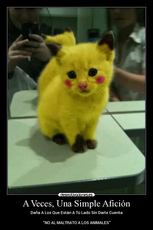 A Veces, Una Simple Afición - 