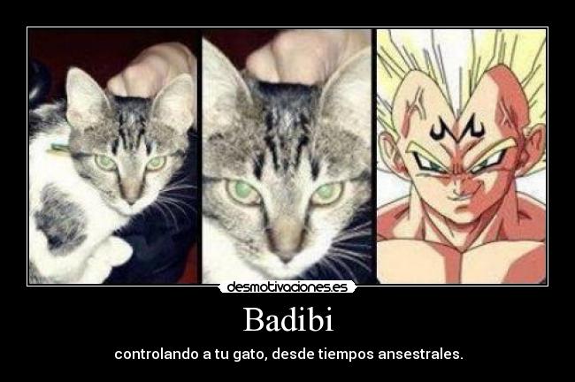 Badibi - controlando a tu gato, desde tiempos ansestrales.