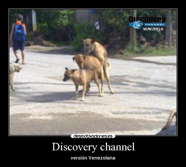 Discovery channel - versión Venezolana