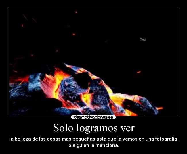 Solo logramos ver - la belleza de las cosas mas pequeñas asta que la vemos en una fotografía,
o alguien la menciona.