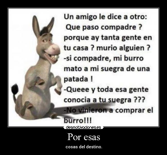 Por esas - cosas del destino.