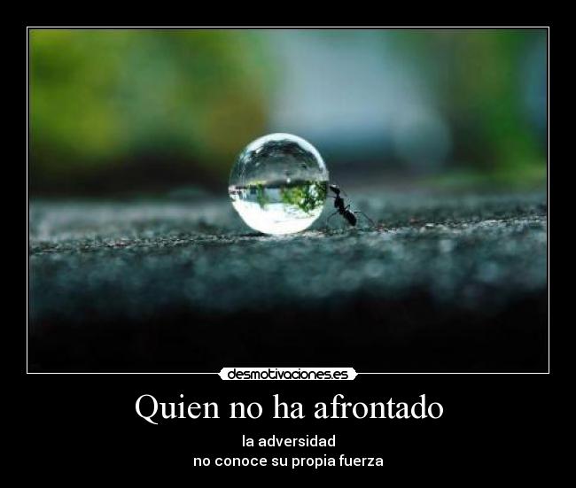 Quien no ha afrontado - la adversidad
no conoce su propia fuerza