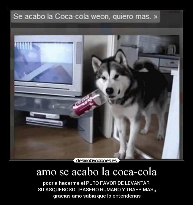 amo se acabo la coca-cola -