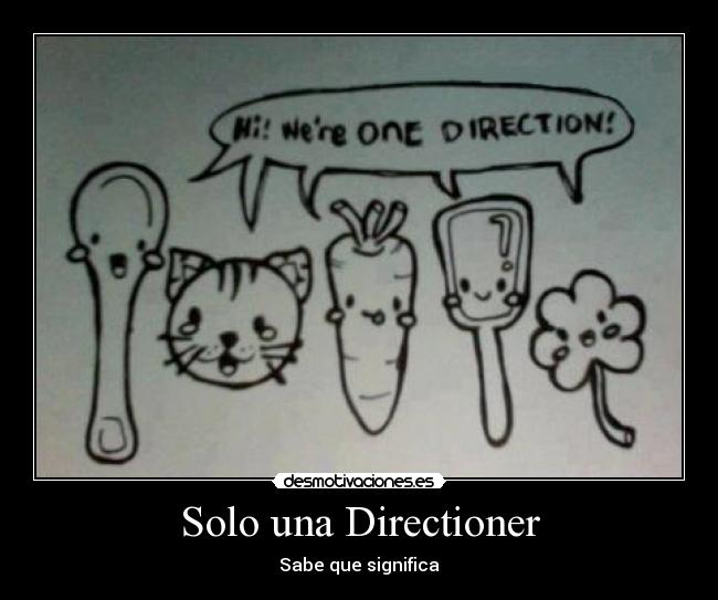 Solo una Directioner - 
