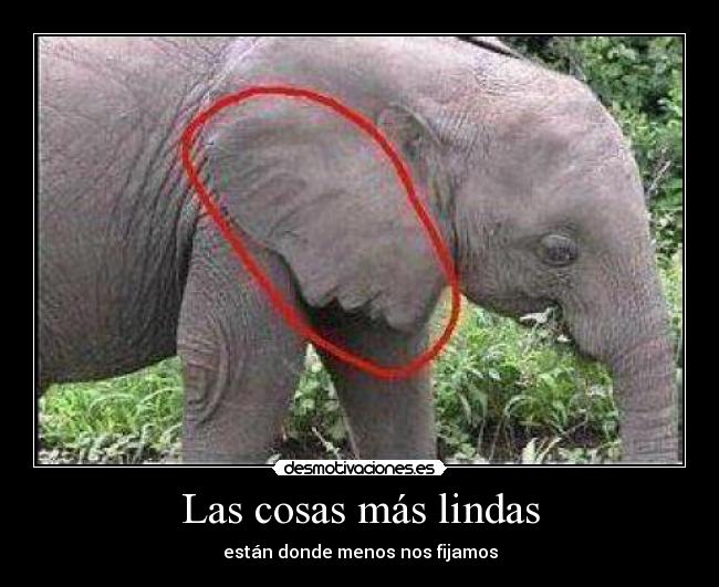 Las cosas más lindas - 