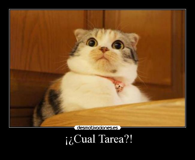 ¡¿Cual Tarea?! -