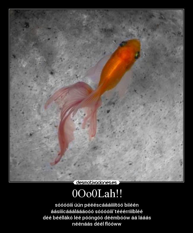 carteles kisawea desmotivaciones