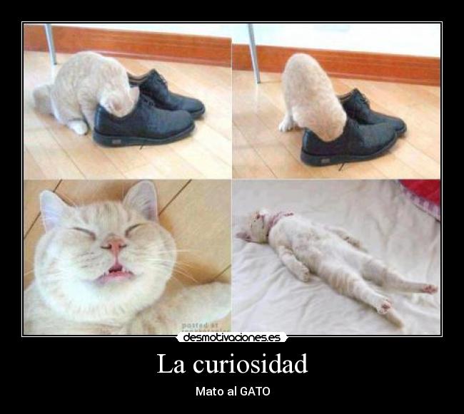 La curiosidad -