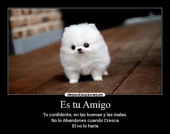 Es tu Amigo - Tu confidente, en las buenas y las malas.
No lo Abandones cuando Cresca
El no lo haría