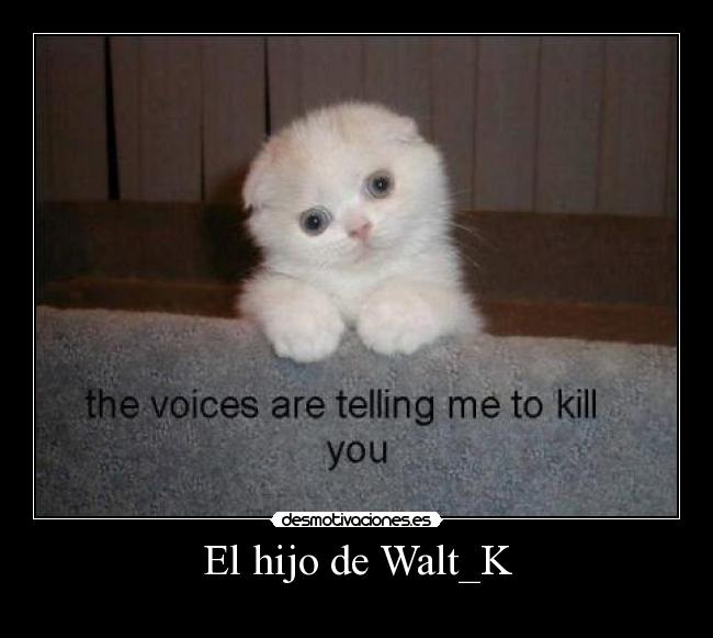 El hijo de Walt_K - 