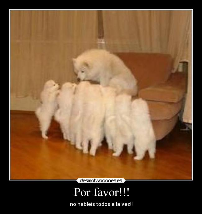 Por favor!!! - 