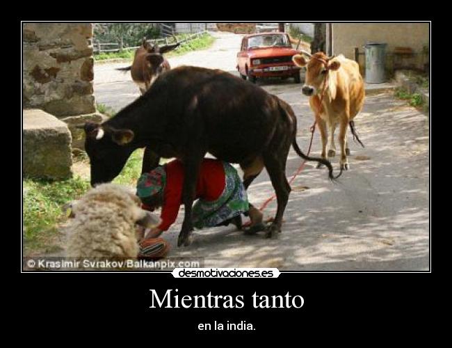 Mientras tanto - en la india.