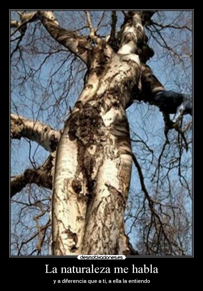 La naturaleza me habla - y a diferencia que a ti, a ella la entiendo