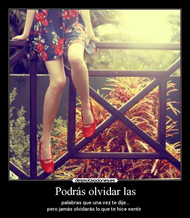 carteles olvidar danii angel desmotivaciones