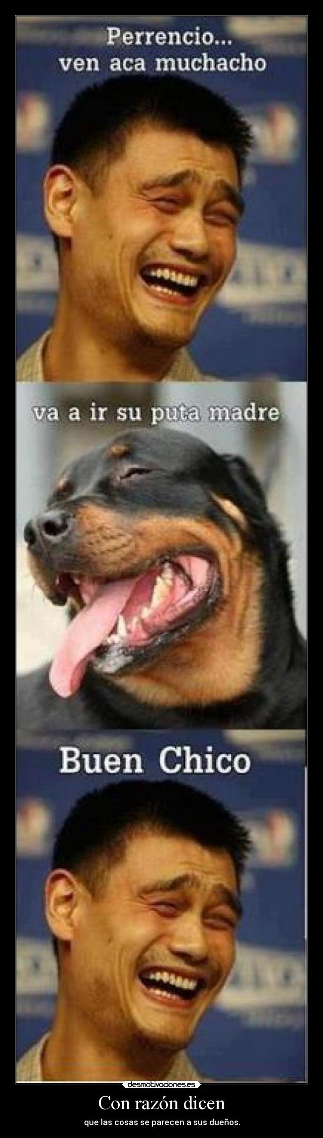 carteles con razon desmotivaciones