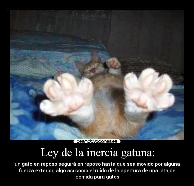 Ley de la inercia gatuna: - un gato en reposo seguirá en reposo hasta que sea movido por alguna
fuerza exterior, algo así como el ruido de la apertura de una lata de
comida para gatos