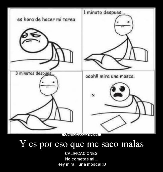 Y es por eso que me saco malas - CALIFICACIONES.
No cometas mi ...
Hey mira!!! una mosca! :D
