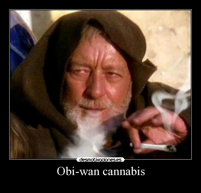 Obi-wan cannabis -