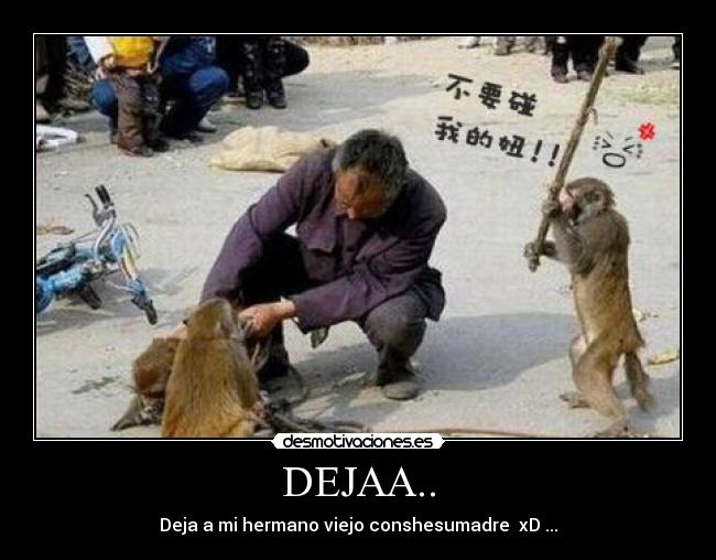 carteles stull desmotivaciones