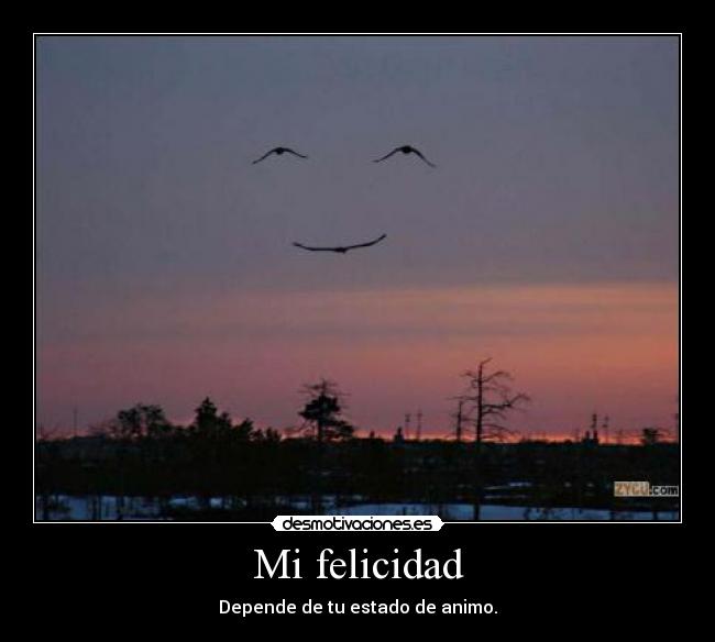 Mi felicidad -