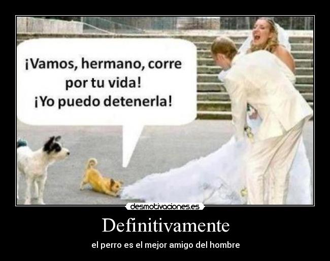 Definitivamente - el perro es el mejor amigo del hombre
