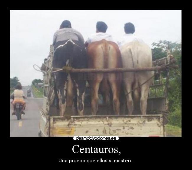 Centauros, -