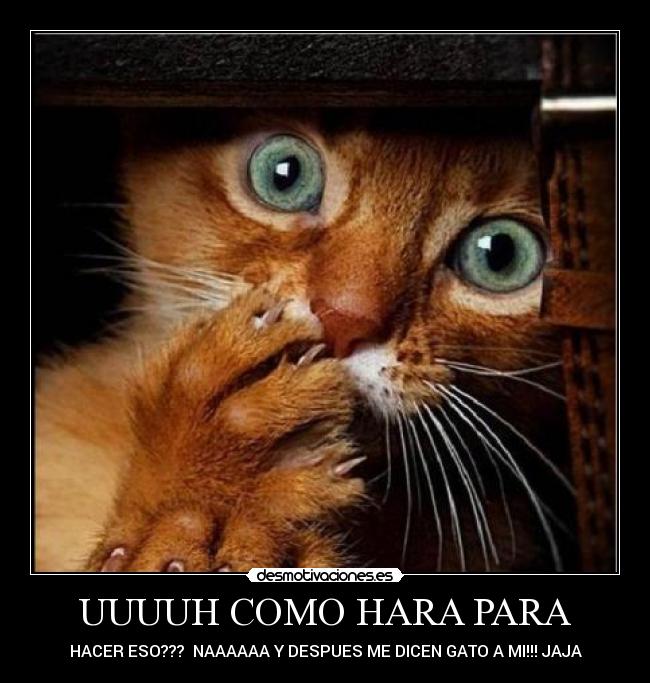 carteles claudio pipucho zabala desmotivaciones