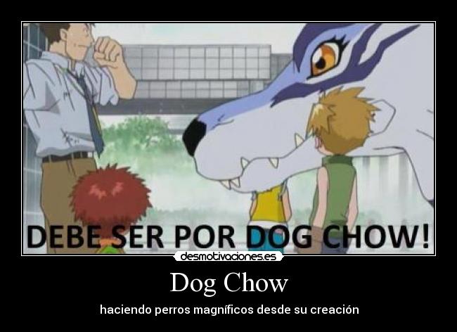 Dog Chow - haciendo perros magníficos desde su creación